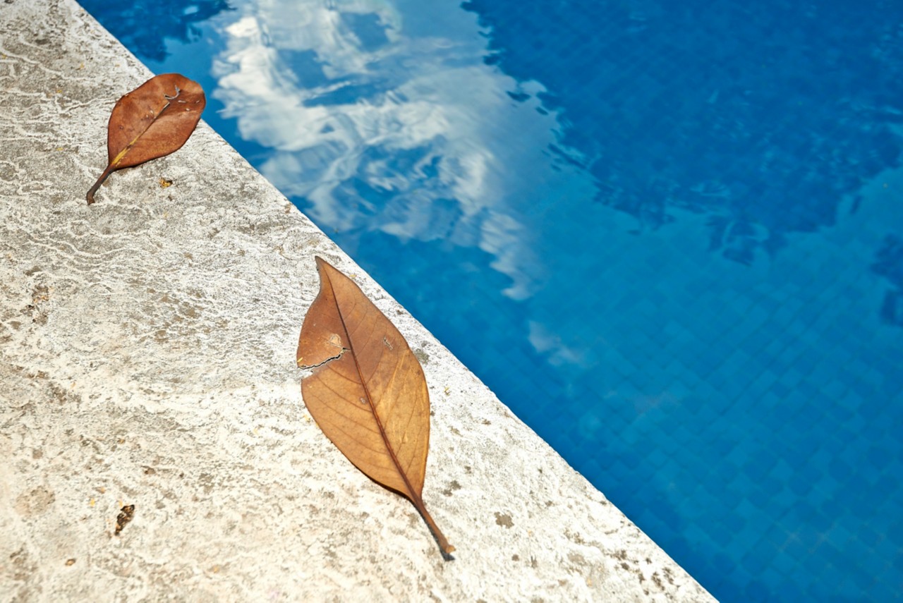 Fall orange leaves on the edge of a blue swimming pool water