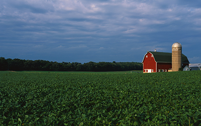 Hero Image This is a farm with a silo and barn. Directly behind it sits a white farmhouse. It sits in the middle of a green farm field.