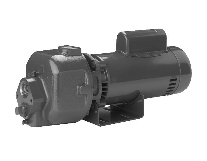 Pentair Berkeley DMC Series Multi-Stage Centrifugal Pumps