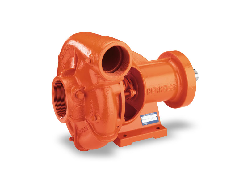 Pentair Berkeley B-Series Frame Mount Centrifugal Pumps