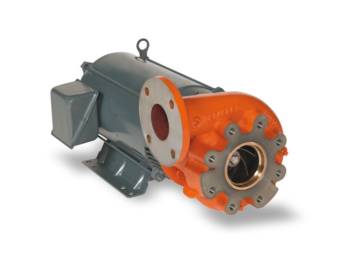 Pentair Berkeley B-Series Close Coupled Motor Drive Centrifugal Pumps