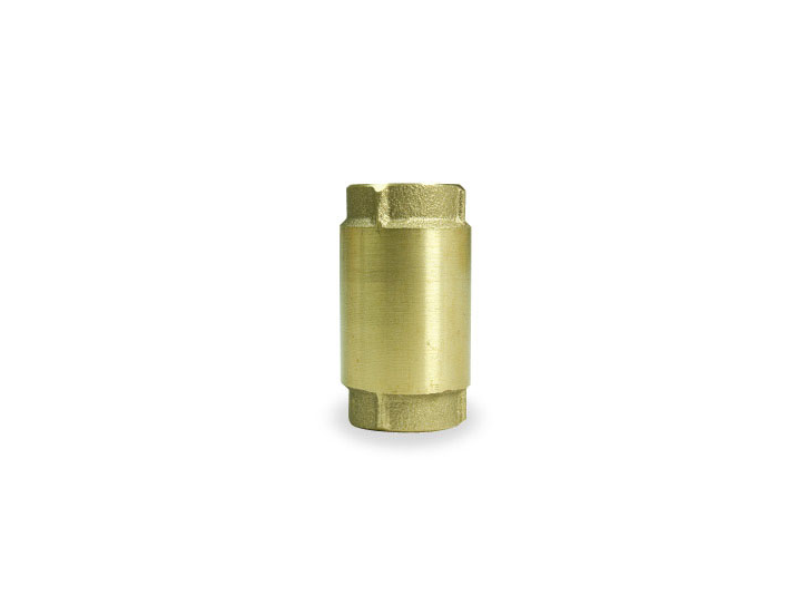 Pentair Sta-Rite TC2505LF-P2 Lead-Free Brass Check Valves