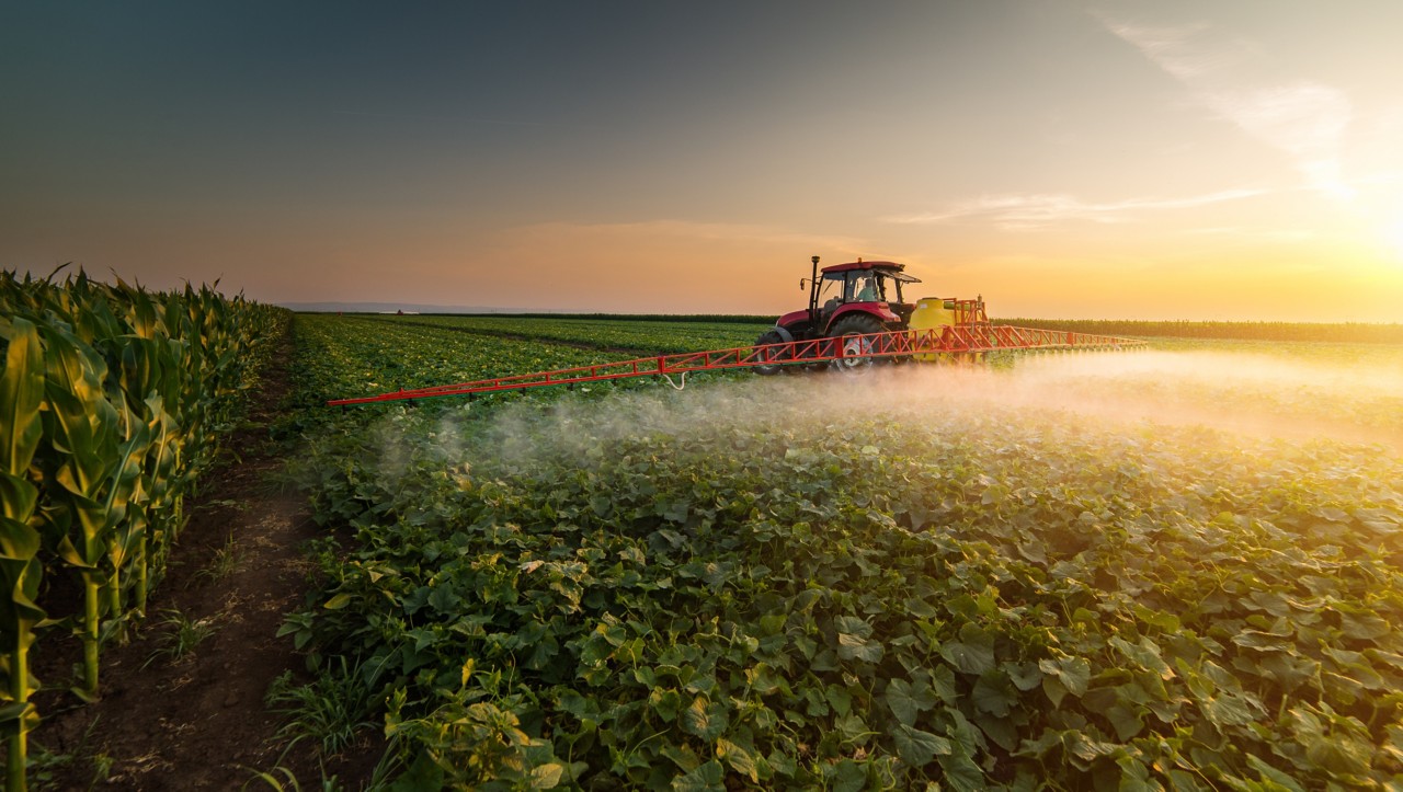 Tractor spraying pesticides on vegetable field with sprayer at spring