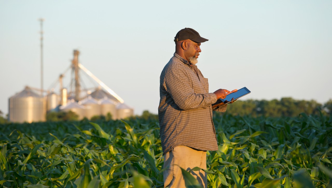 African American farmer with digital tablet in crop field, irrigation, water supply 
