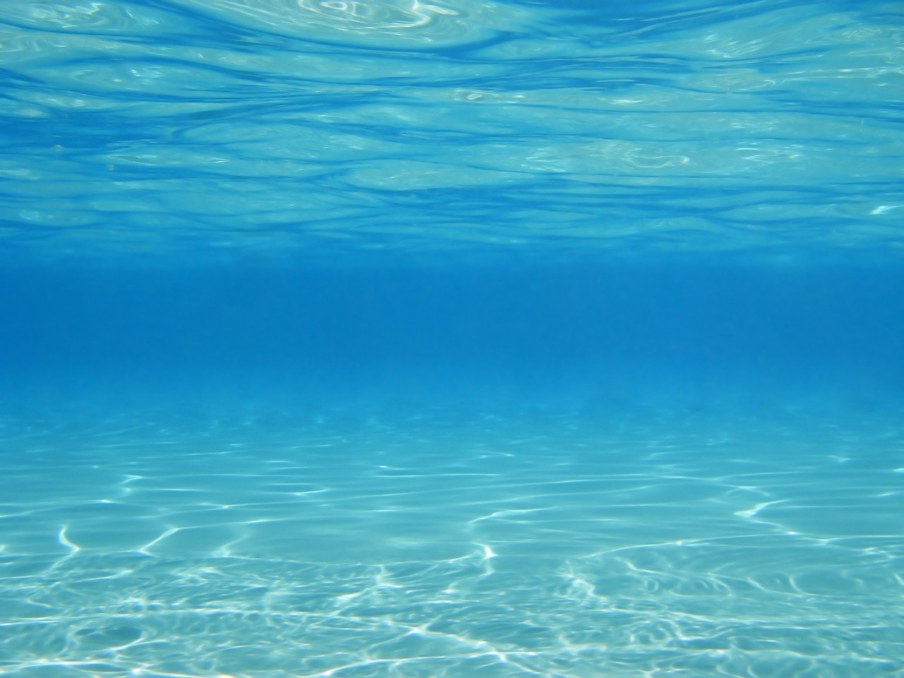 Photo under water in a public pool.  I also have a verical version similar to this.