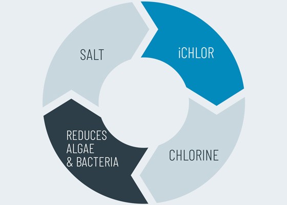 wheel diagram for iChlor PDP