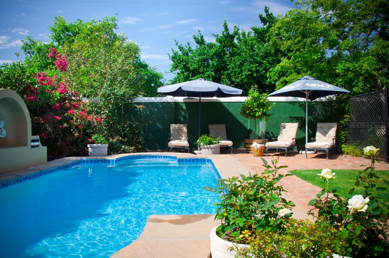 small pool in backyard garden with umbrella lounge chairs surrounded by trees and potted plants  