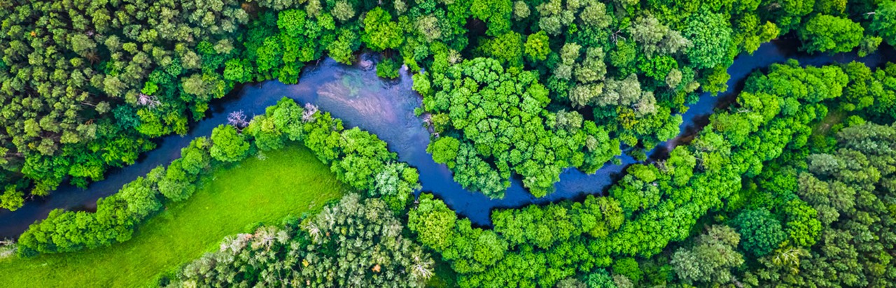 winding river from air